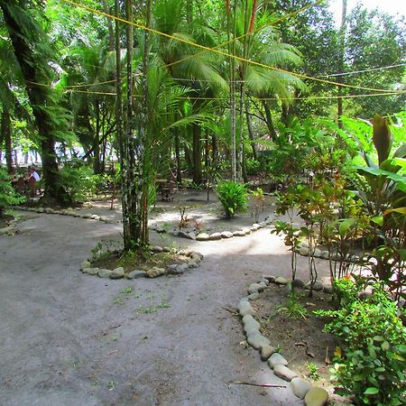Kacha B&B Beach Front 마누엘안토니오 외부 사진